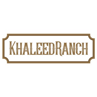 KHALEEDRANCH туры по Дагестану и Северному Кавказу