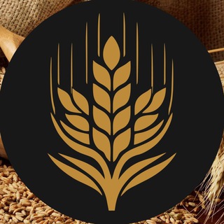 Херсонская зерновая компания