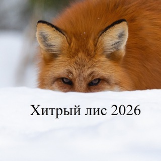 Хитрый Лис 2026
