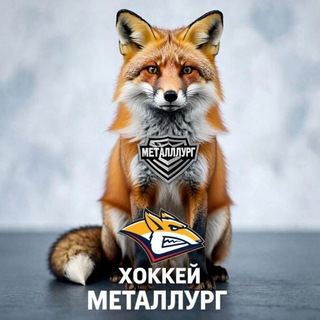Хоккей Металлург и Зауралье