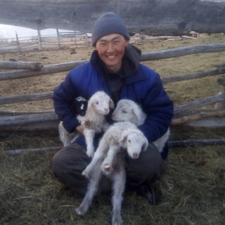 Хонишон / блог потомственного чабана