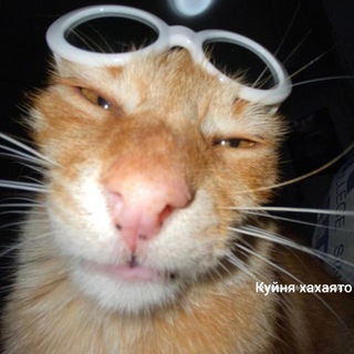 Куйня Хахаято🤡