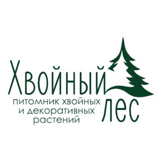 Хвойный лес