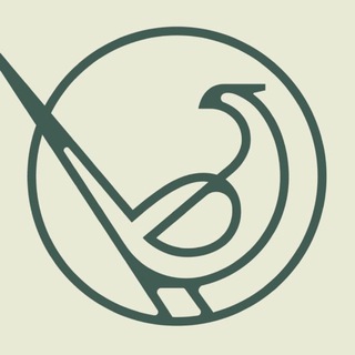 KIDZI – товары для детей и родителей