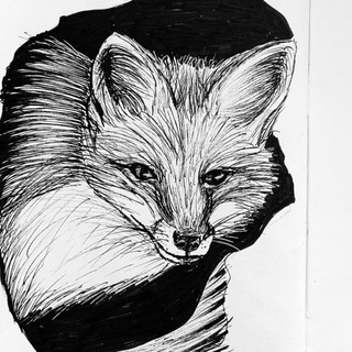 Лисья но́ра