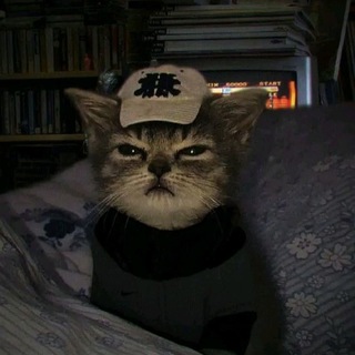 🎼 Песни из ТТ | Статусы | Стикеры 🎼