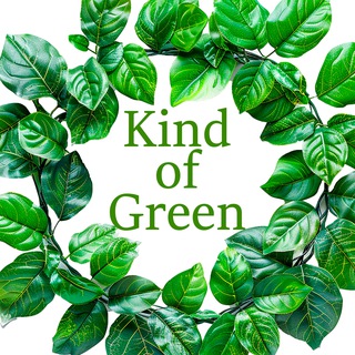 Магазинчик растений на диване