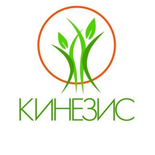 Кинезис_Мариуполь 17мкр