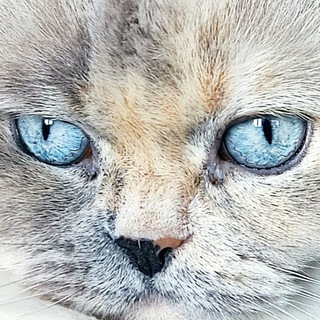 КиноКаждыйДень