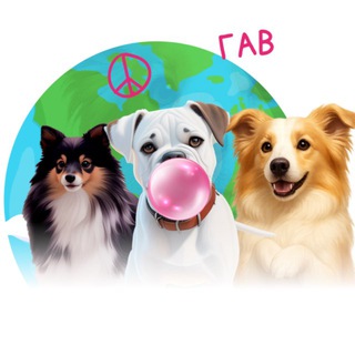 Мир Дружба Собачка