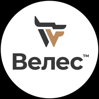 Велес | Обучение | Профессия кинолог, зоопсихолог, фелинолог