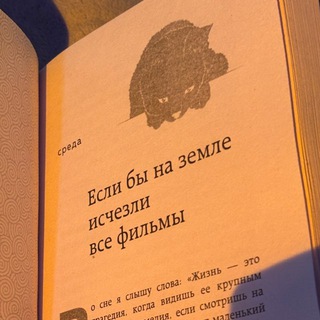 киносалага