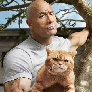 kinoserialiidorami /нарезки из кино и сериалов