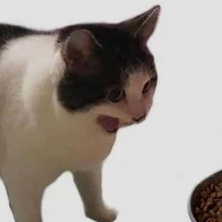 кинь ссылку