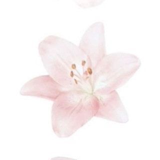 love lives here୨ৎ