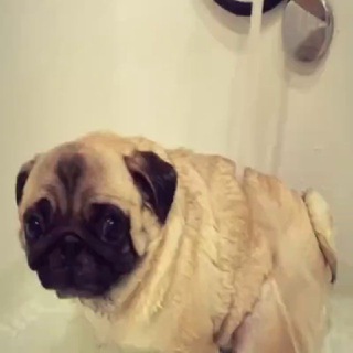 Kiro - Blox Fruits🍏