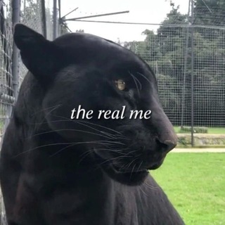 Лера Киса Мягколапка💋