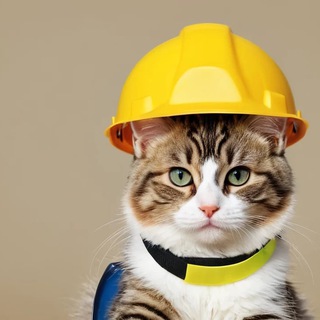 Котики, дизайнеры среды и инженеры