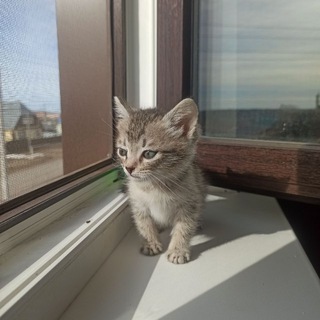 шестьдесят девять