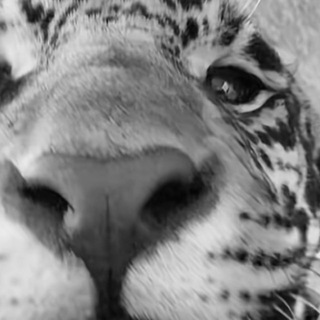 передоз 🙏🏻