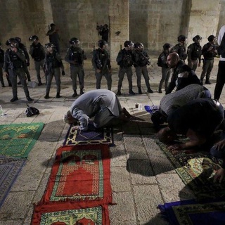 свет во мраке.