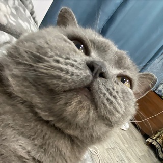 Кибербуллинг Маши