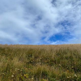 Кладовая природы