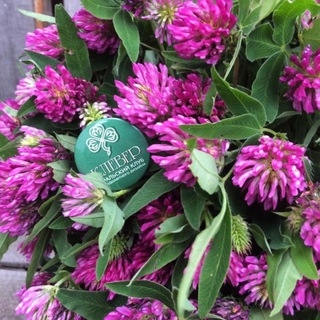 Союз Клевер Урал