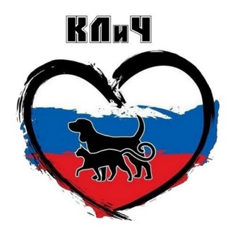 КЛиЧ Красноярск / Помощь животным / Потеряшки