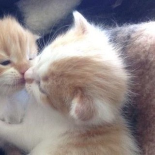 𝒏𝒊𝒈𝒉𝒕 𝒎𝒆𝒎𝒐𝒓𝒊𝒆𝒔