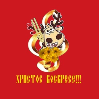 ✨Подслушано на клиросе♪♫♬