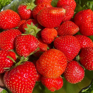 Семена-сад38