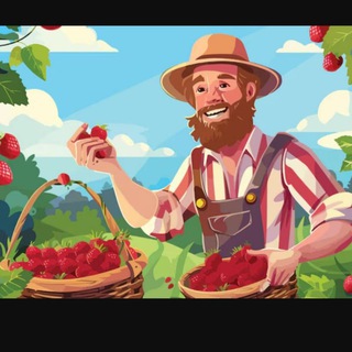 Ягодный бизнес 🍓🍓🍓