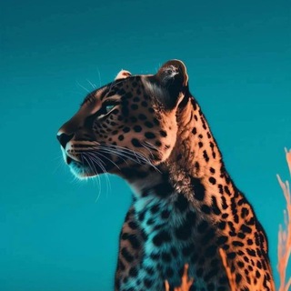 Большая Книга О Животных