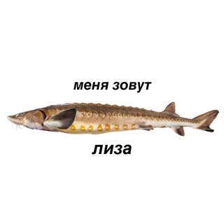 осетрина с душком