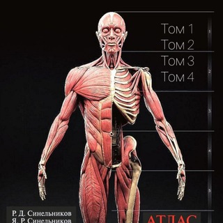 Литература. PDF