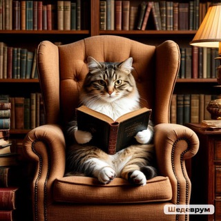 книги, кино и котики