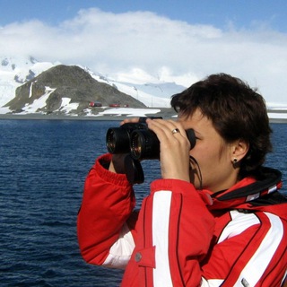 Переверни пингвина