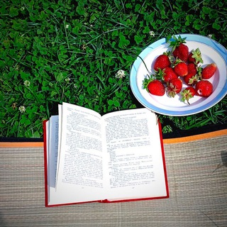 Пристанище книжной души 🥰