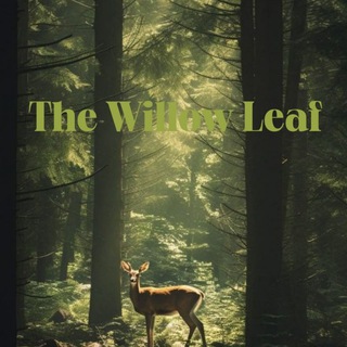 The Willow Leaf 🍃