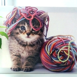 Котик свяжет | Вязание