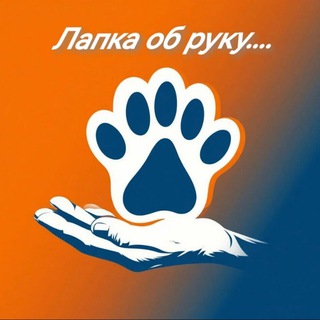 АНО "КНОПА" 🐶🐶🐶