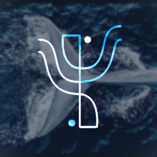 Психология и Поле