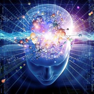 Запас Знаний: Факты и Эксперименты