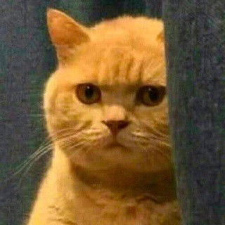 Секретные🔻промокоды