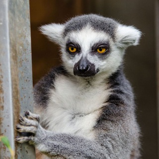 Когда зае...ло