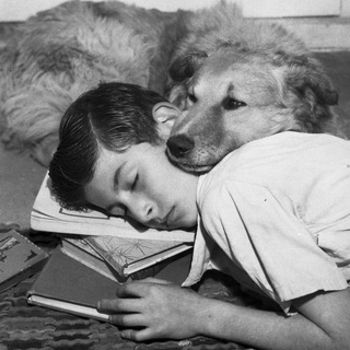 Только удивление знает