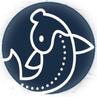 KoinSwap Finance Hub