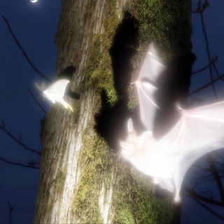 Колесо Тортуны