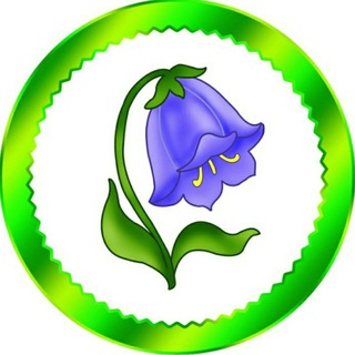 МБДОУ "Детский сад 12"